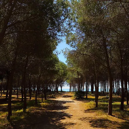 Eraclea Minoa Village Πάρκο διακοπών 3*