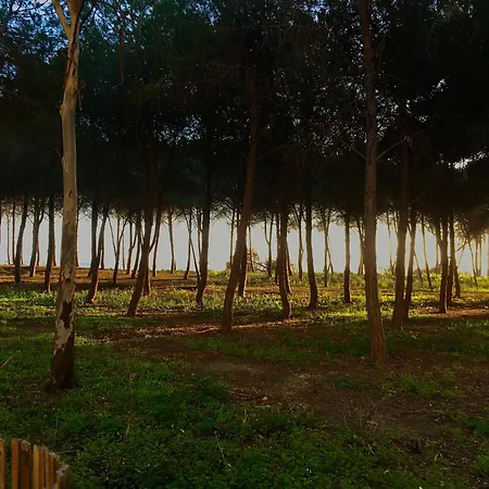 Eraclea Minoa Village 3*