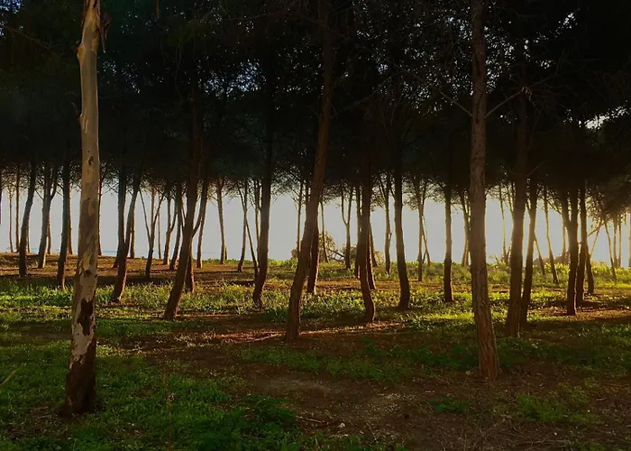 Eraclea Minoa Village 3*